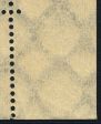 Datei:Dr0249.2.small zvf50.jpg