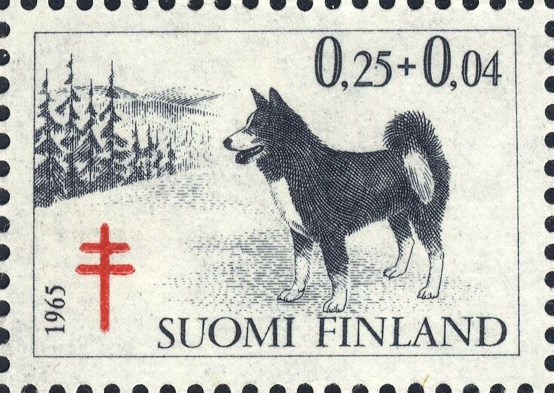 Image:fin0601.1.big.jpg