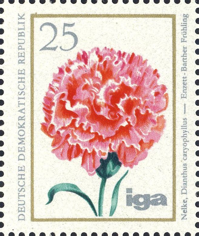 Image:ddr2073.1.big.jpg
