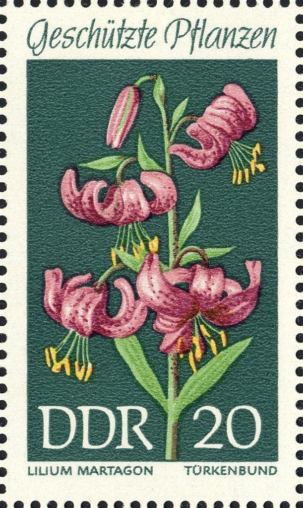 Image:ddr1459.1.big.jpg