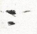Image:ddr2528.2js.small_dz.jpg