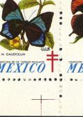 Image:vgn_mex_wsm1963.3.small_pkfU2a.jpg