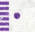 Datei:Saar0381.1.small jpf40a.jpg