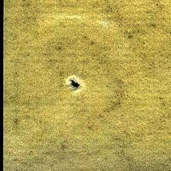 Image:bnd0274.5.small_npfR11cc.jpg