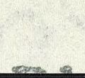 Image:saar0386.1.small_dzf100a.jpg