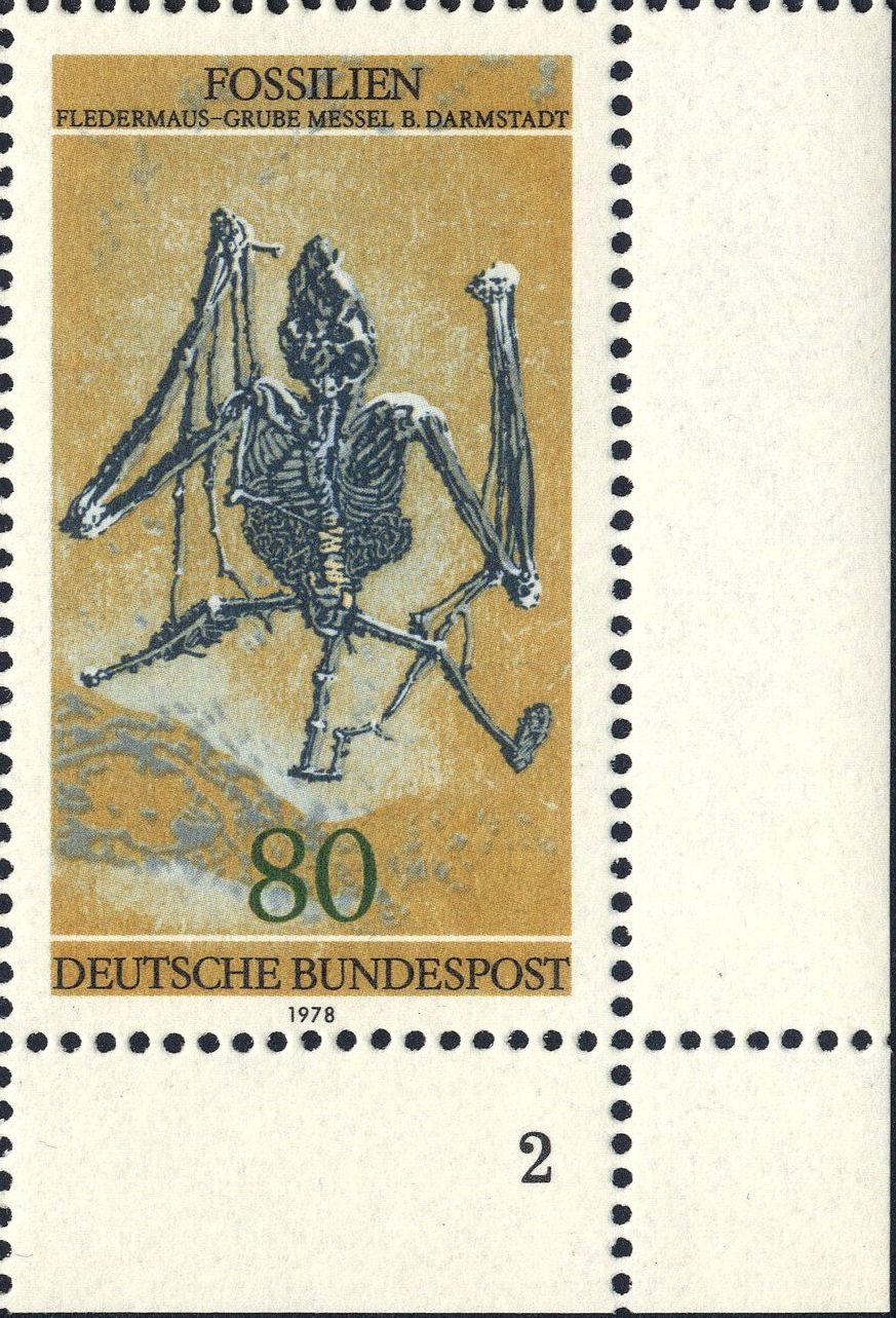 Image:bnd0974.2.big_fn2f50.jpg