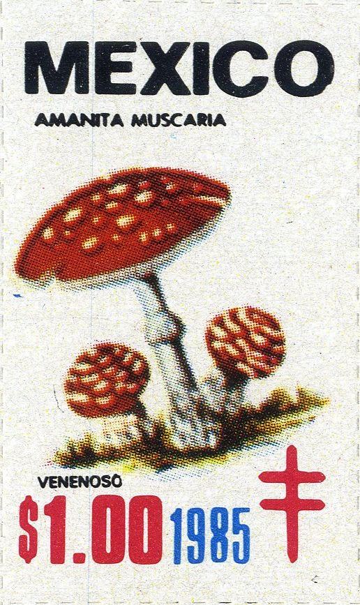 Image:vgn_mex_wsm1985.2.big.jpg