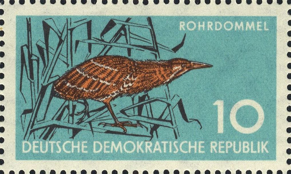 Image:ddr0689.7.big.jpg