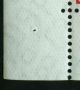 Image:saar0443.1.small_zvf41.jpg