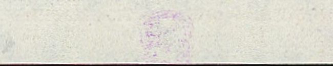 Image:bnd0125.1ap.small_dkzakfR5ca.jpg