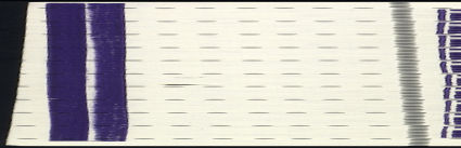 Image:ddr0328vbXI.2.small_smll.jpg