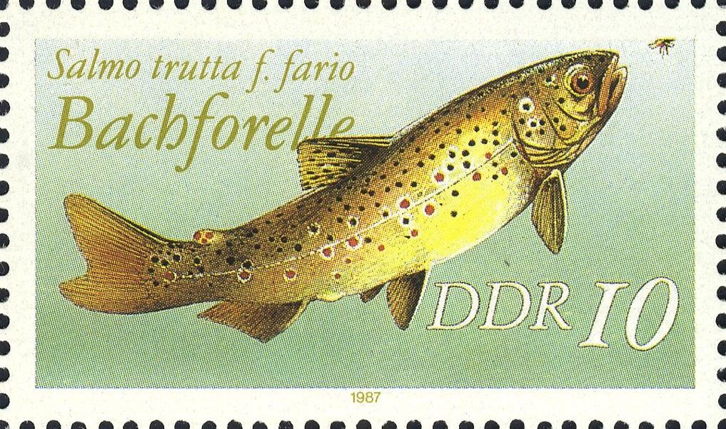Image:ddr3096I.1.big.jpg