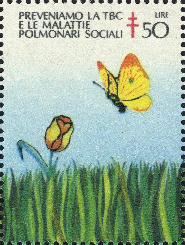 Image:vgn_ita_wsm1979.1.f2.big.jpg