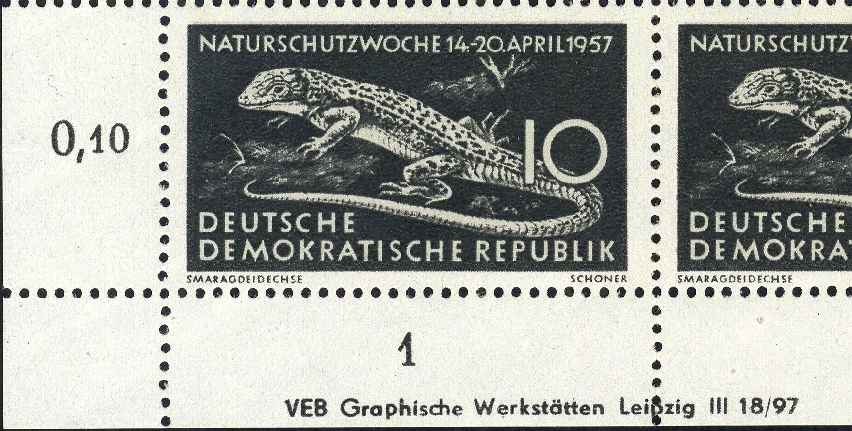 Image:ddr0562.1.big_dvf46.jpg