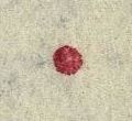 Image:bln0119.1js.small_zpf31a.jpg