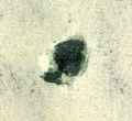 Datei:Bln0076.1.small zpfL4ca.jpg