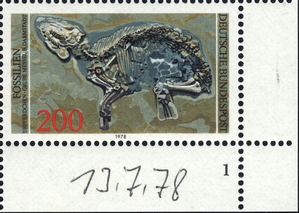 Image:bnd0975.1.big_fn1f50.jpg