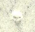 Image:bnd0209.1.small_zpf31b.jpg