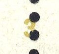 Image:ddr2336.2.small_fn3fU3ba.jpg