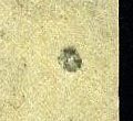 Image:bnd0226xw.091.small_jpfL5ab.jpg