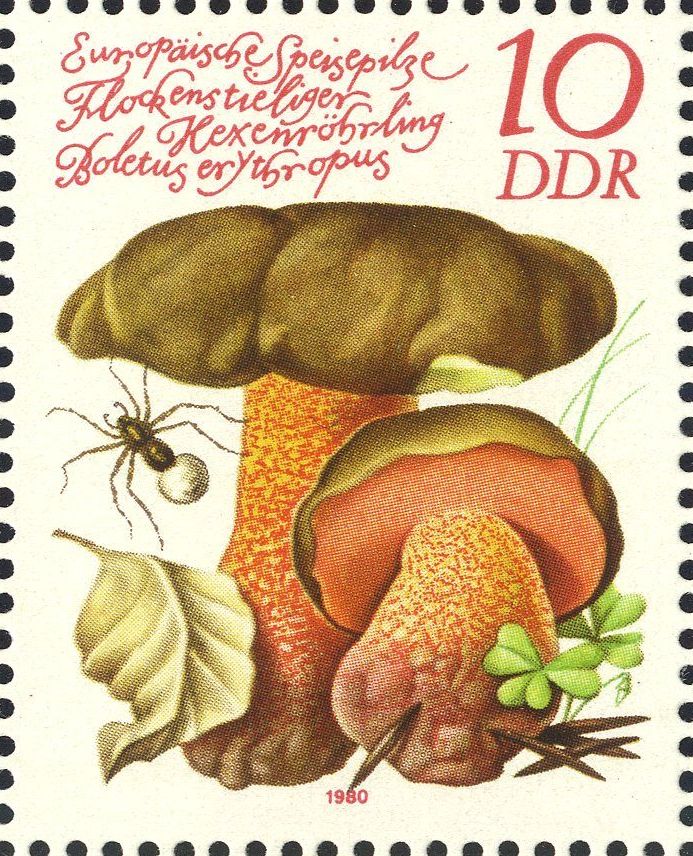 Image:ddr2552.1.big.jpg