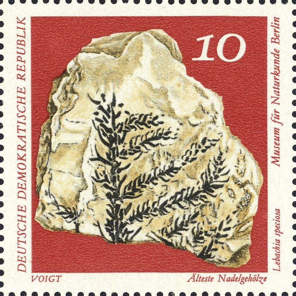 Image:ddr1822.3.big.jpg
