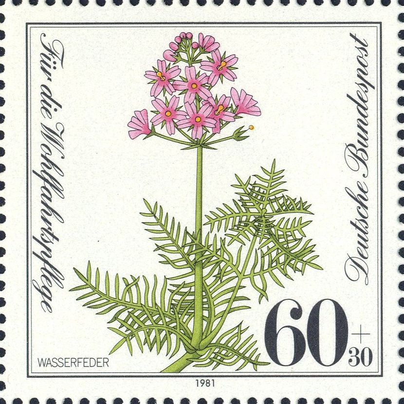 Image:bnd1110.2.big.jpg