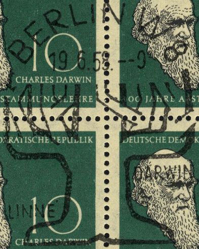 link={{{Gebiet}}}_MiNr._ddr0631.1_Stempel_groß#ddr0631.1.big_st