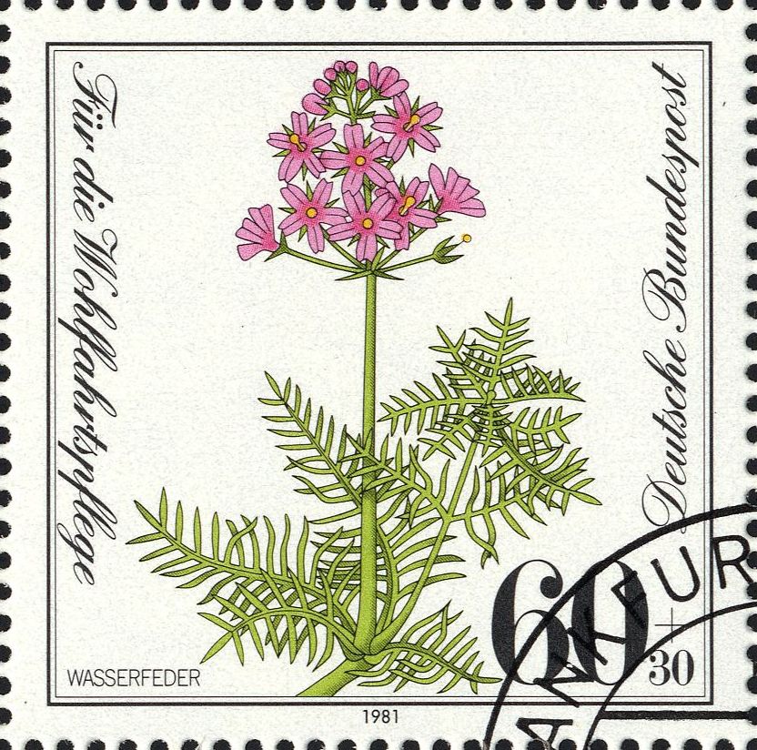Image:bnd1110.1.big.jpg