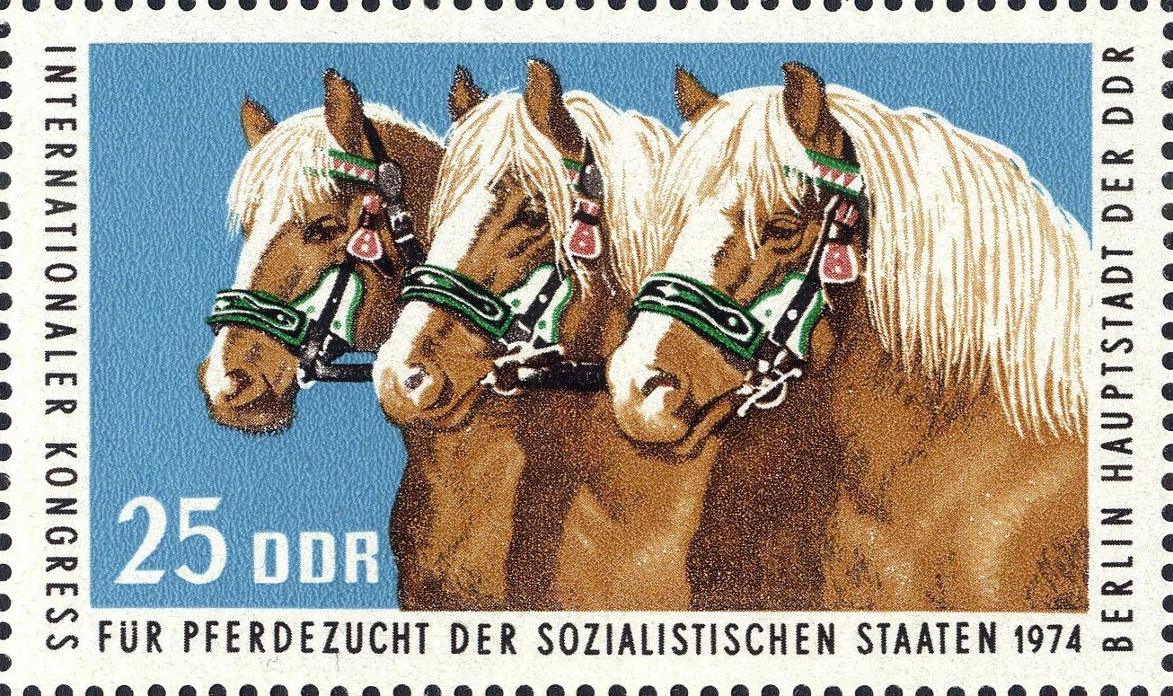 Image:ddr1971.1.big.jpg
