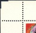 Image:bnd0823.1.small_snwf1.jpg