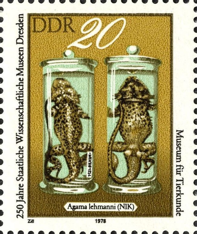 Image:ddr2371.5js.big.jpg