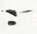 Image:ddr2528.4js.small_dz.jpg