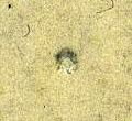 Image:bnd0226xv.065.small_jpfR5bb.jpg