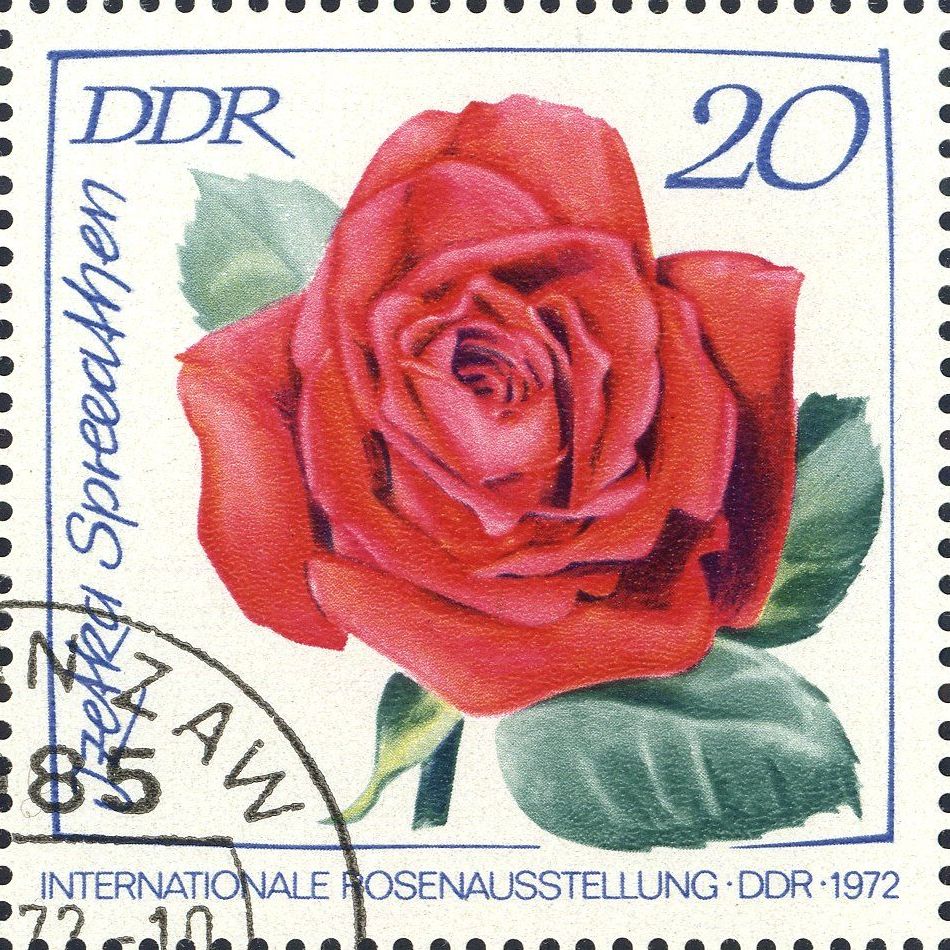Image:ddr1766.1.big.jpg