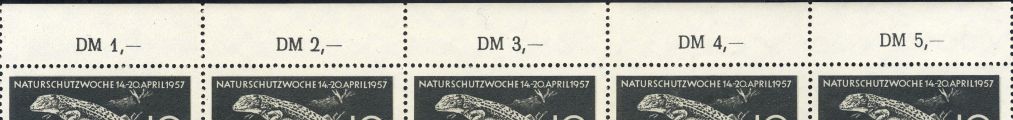 Image:ddr0562.1.small_rwz1.jpg
