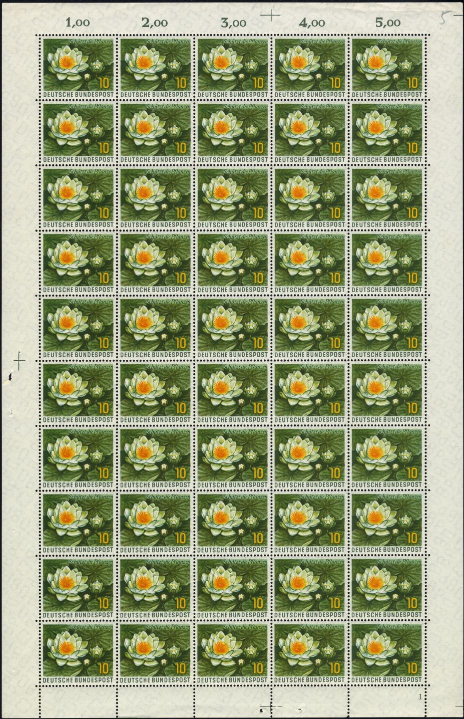 Image:bnd0274.4.small_bg1.jpg