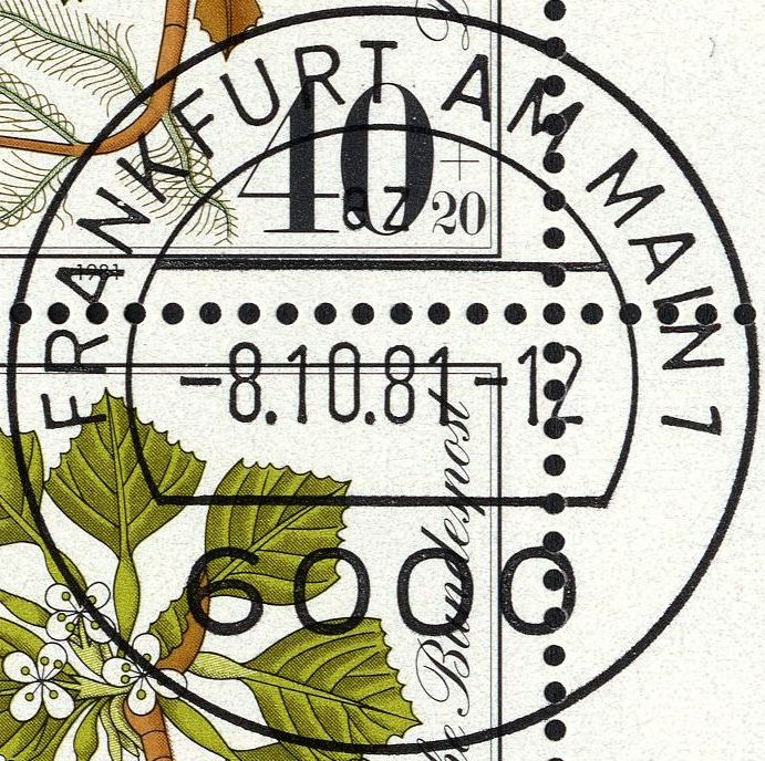 Image:bnd1108.1.big_st.jpg