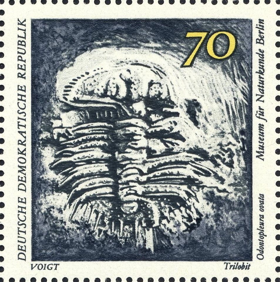 Image:ddr1827.1.big.jpg