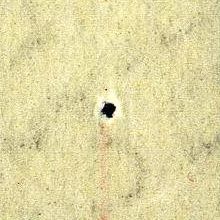 Image:bln0174.2.small_npfU1ab.jpg