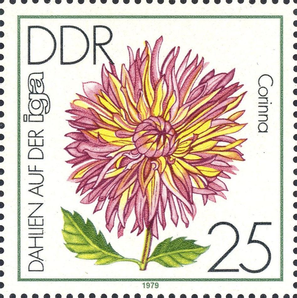Image:ddr2437.1.big.jpg