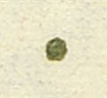 Image:bln0053.1.BGF.small_zpfU3ba.jpg