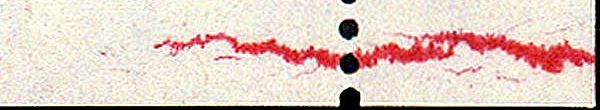 Image:bnd0137.5uf.small_symf100a.jpg