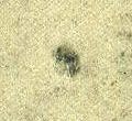 Image:bnd0226xw.091.small_jpfR5cb.jpg