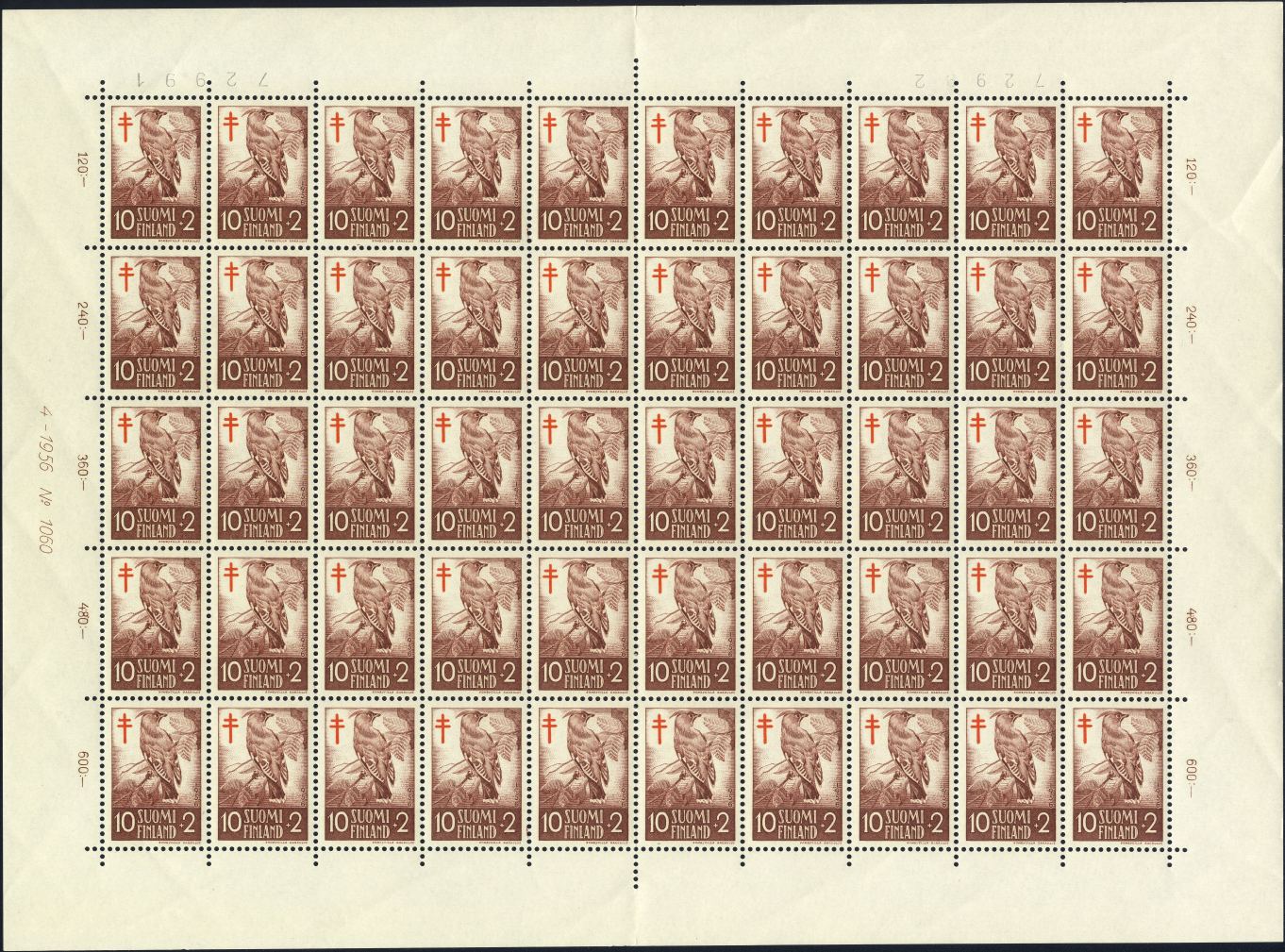 Image:fin0461.1.small_bg1.jpg