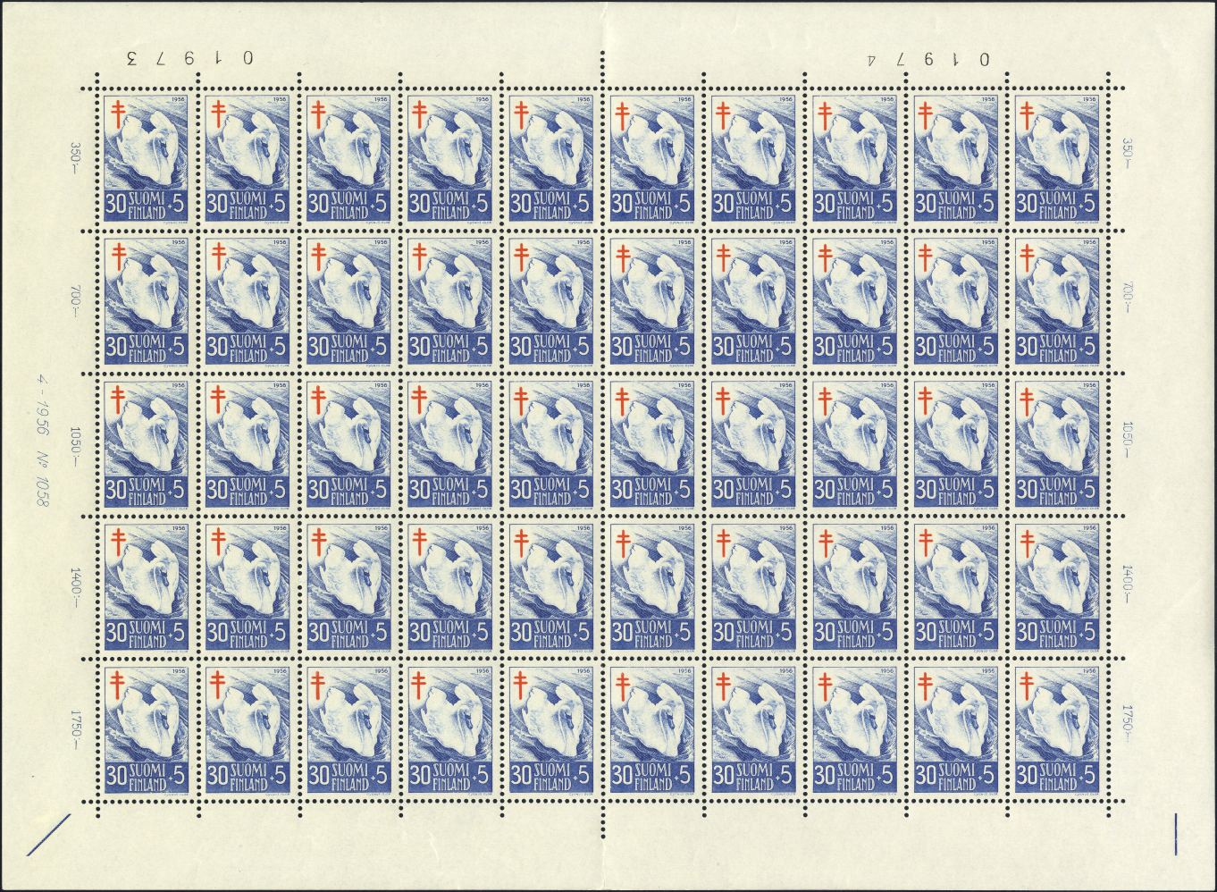 Image:fin0463.1.small_bg1.jpg