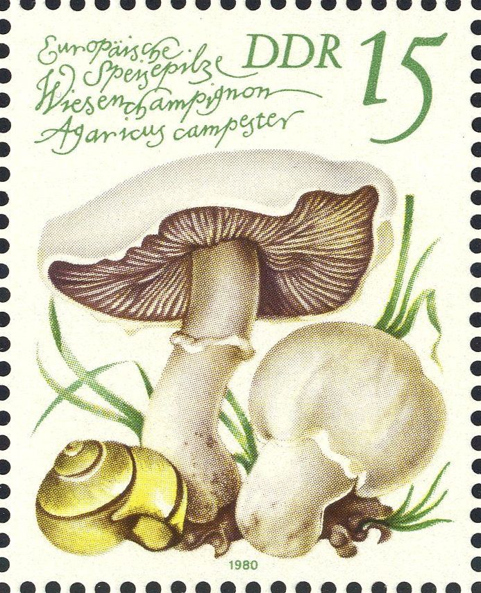 Image:ddr2553.1.big.jpg