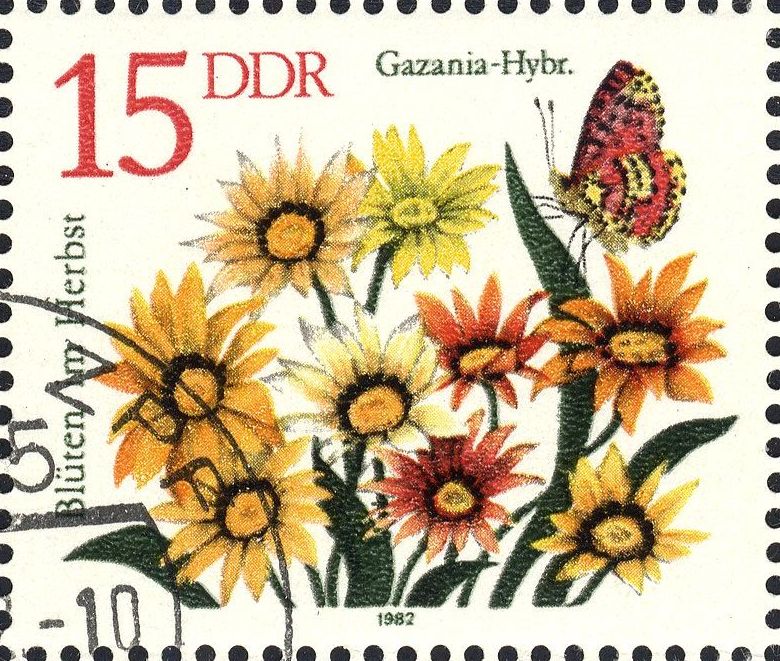 Image:ddr2739.1.big.jpg
