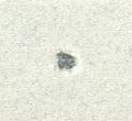 Image:bln0140xw.7.small_zpfU7aa.jpg