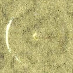 Image:bnd0275.4.small_npfO6cc.jpg